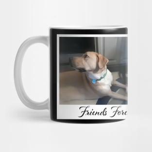 Friends Forever Mug